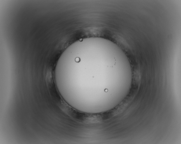 X0000114210709200910161247