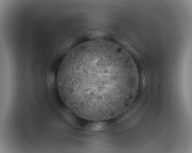 X0000114210711200910161247
