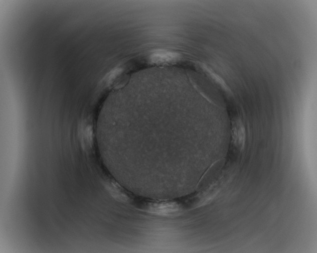 X0000114210716200910161247