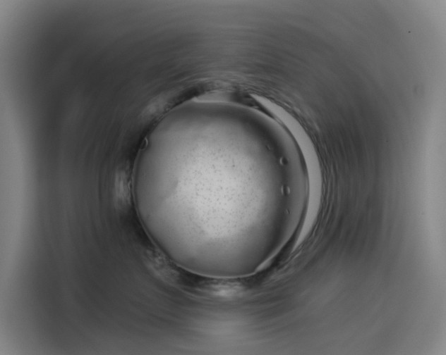 X0000114210719200910161247