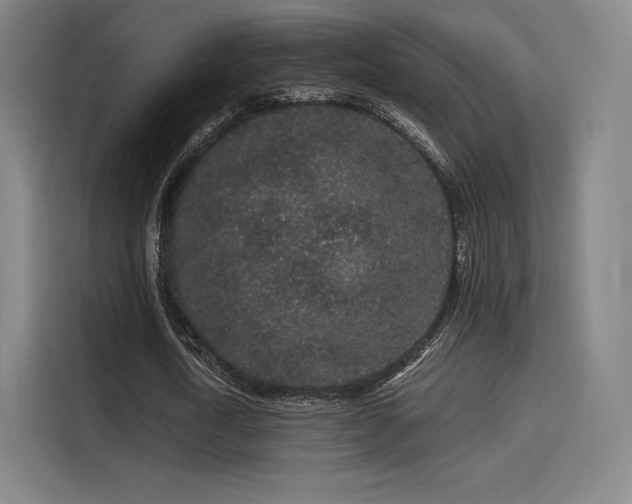 X0000114210722200910161247