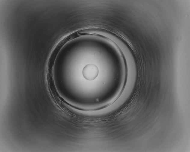 X0000114210724200910161247