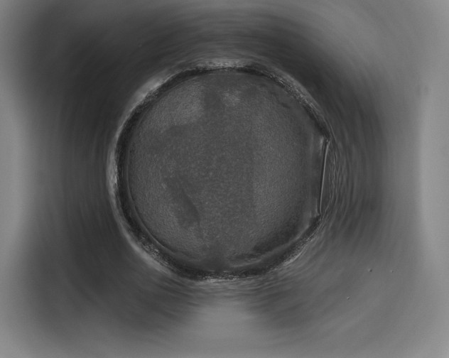 X0000114210726200910161247
