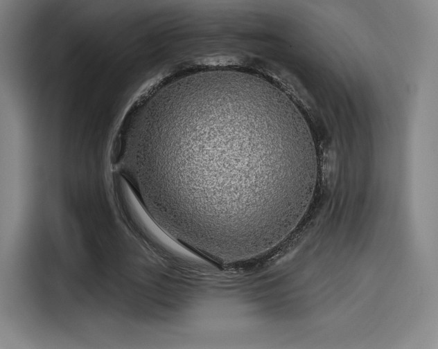 X0000114210727200910161247