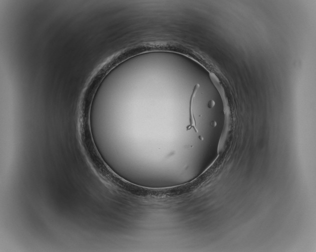 X0000114210728200910161247