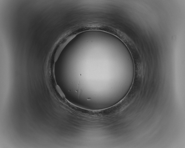 X0000114210731200910161247