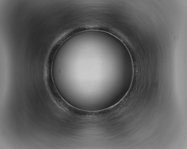 X0000114210732200910161247