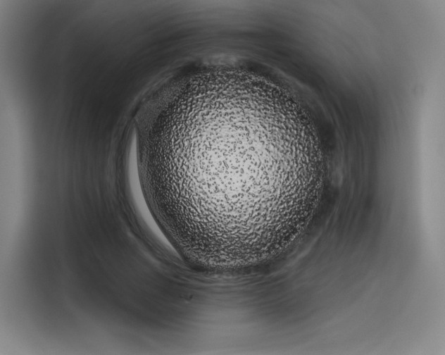 X0000114210735200910161247