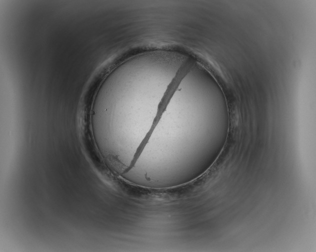 X0000114210736200910161247