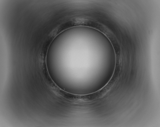 X0000114210737200910161247