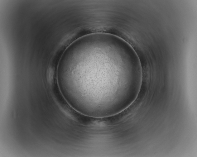 X0000114210742200910161247