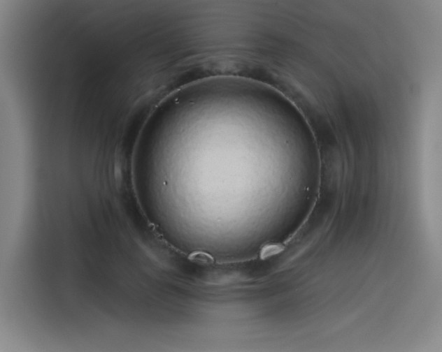 X0000114210747200910161247