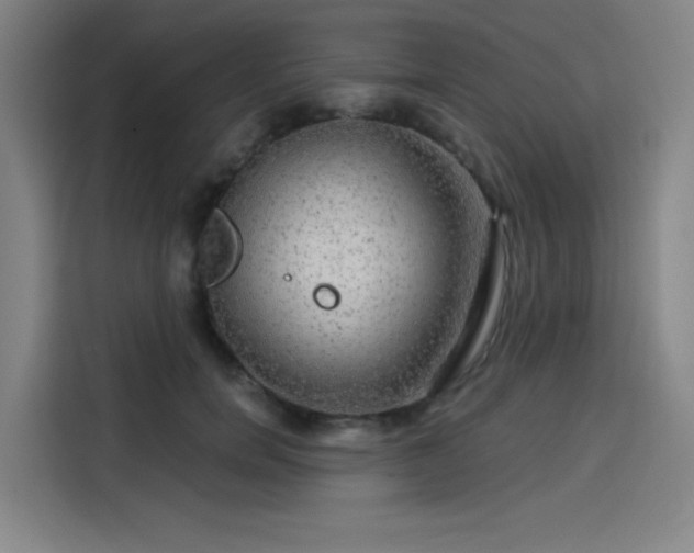 X0000114210750200910161247