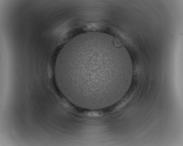 X0000114210751200910161247