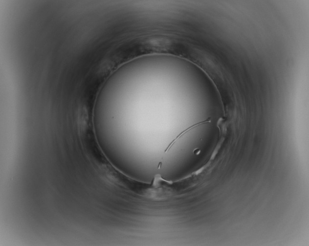 X0000114210752200910161247