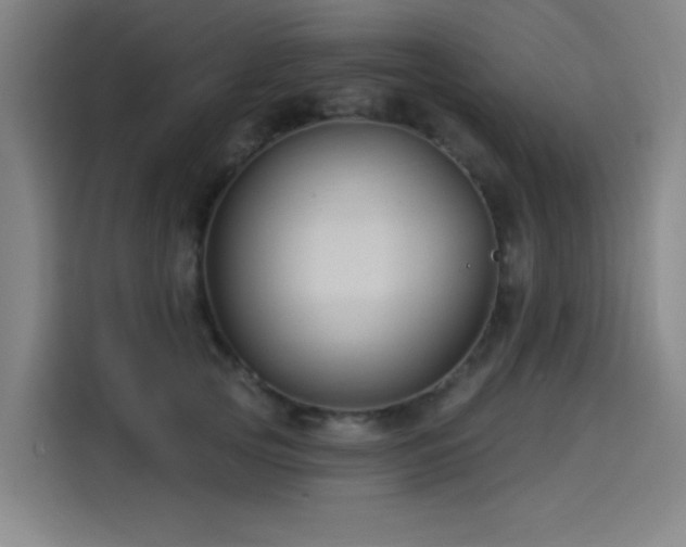 X0000114210753200910161247