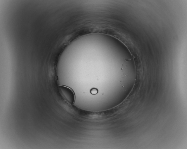 X0000114210756200910161247