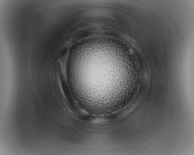 X0000114210759200910161247