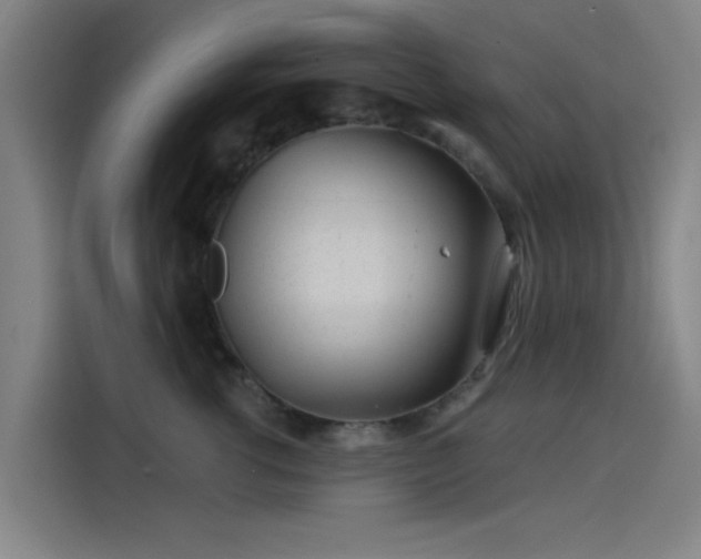 X0000114210762200910161247