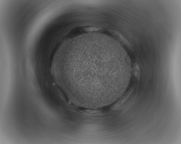 X0000114210763200910161247
