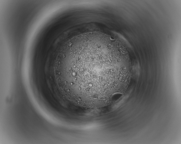 X0000114210765200910161247
