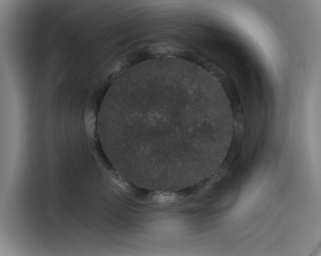 X0000114210767200910161247