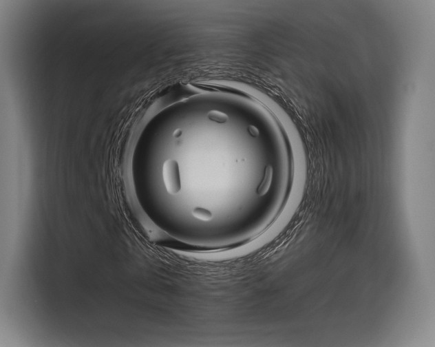 X0000114210769200910161247
