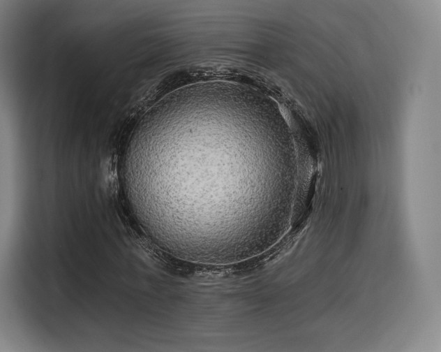 X0000114210771200910161247