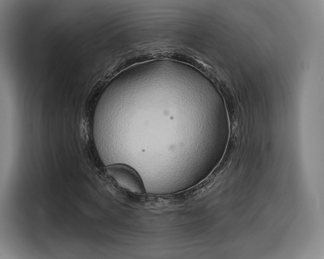 X0000114210772200910161247