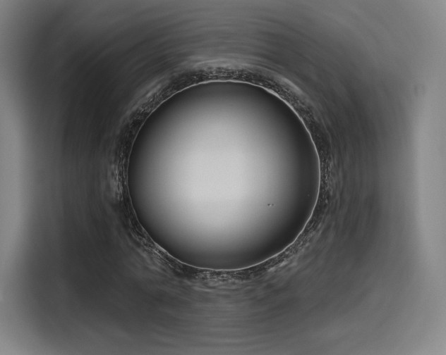 X0000114210774200910161247