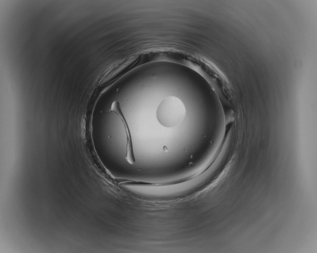 X0000114210777200910161246
