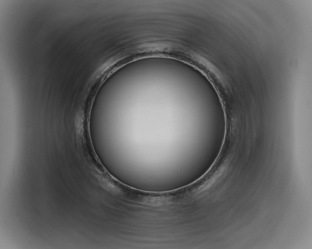 X0000114210778200910161246