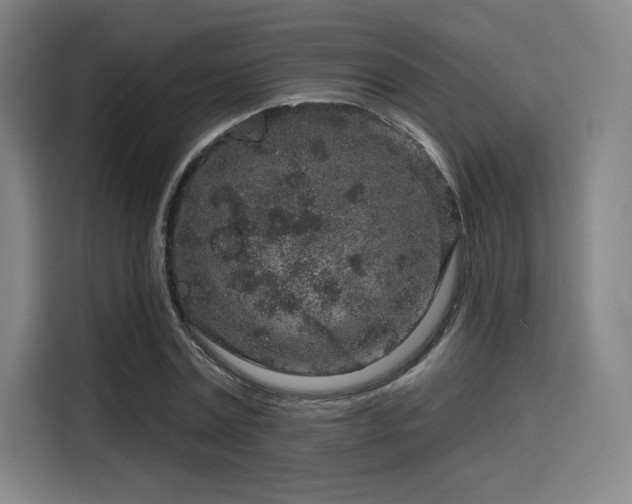 X0000114210779200910161246