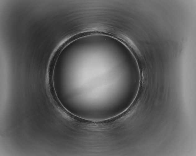 X0000114210780200910161246