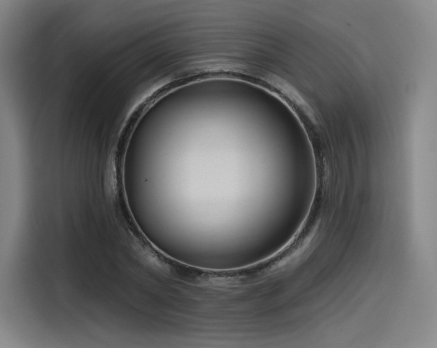 X0000114210782200910161246