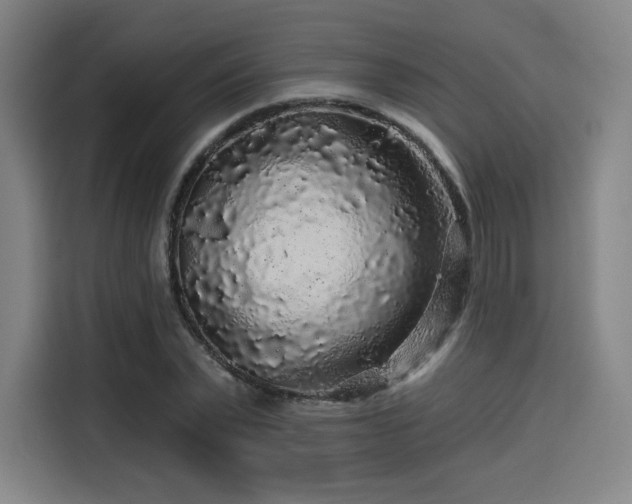 X0000114210783200910161246