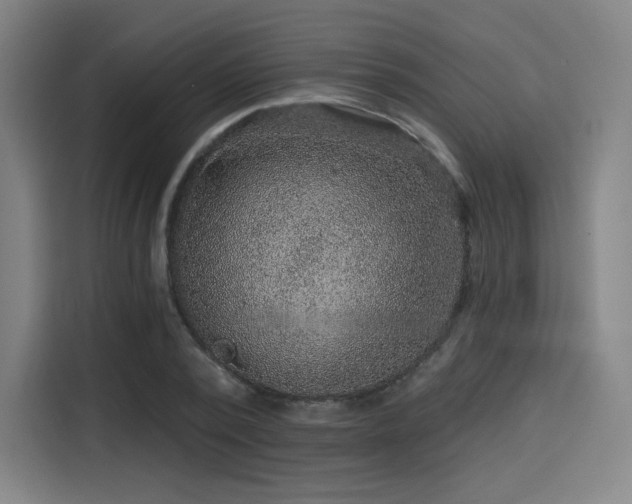 X0000114210784200910161246
