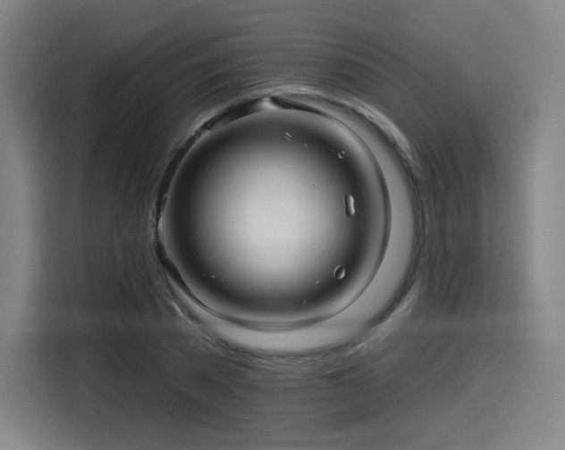 X0000114210785200910161246