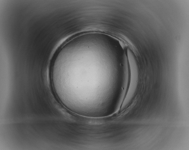 X0000114210788200910161246