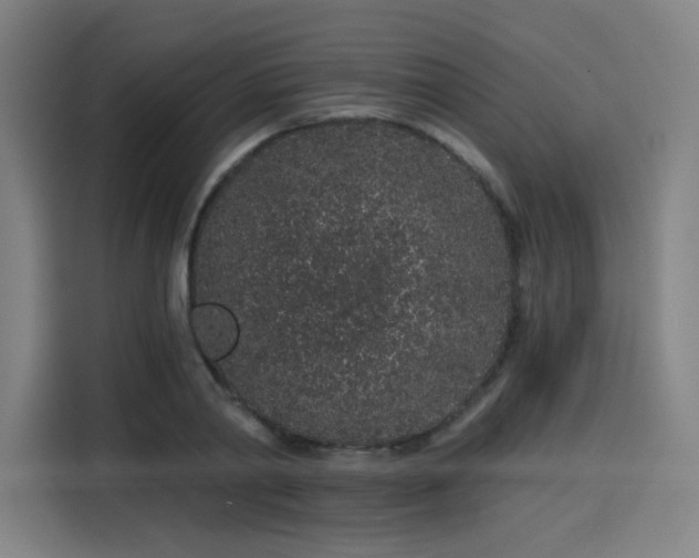 X0000114210790200910161246