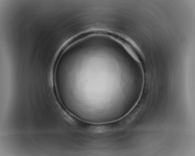 X0000114210791200910161246