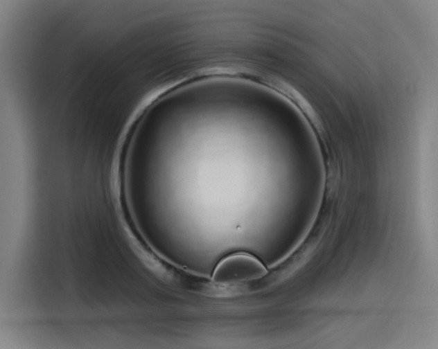X0000114210795200910161246