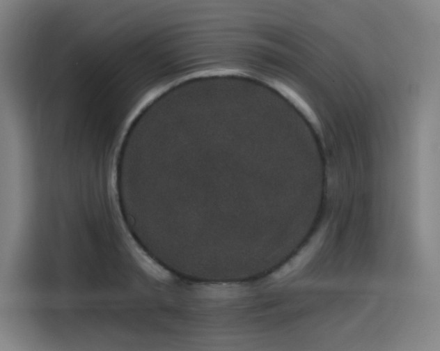 X0000114210797200910161246