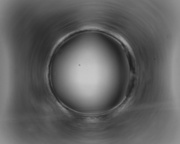 X0000114210799200910161246