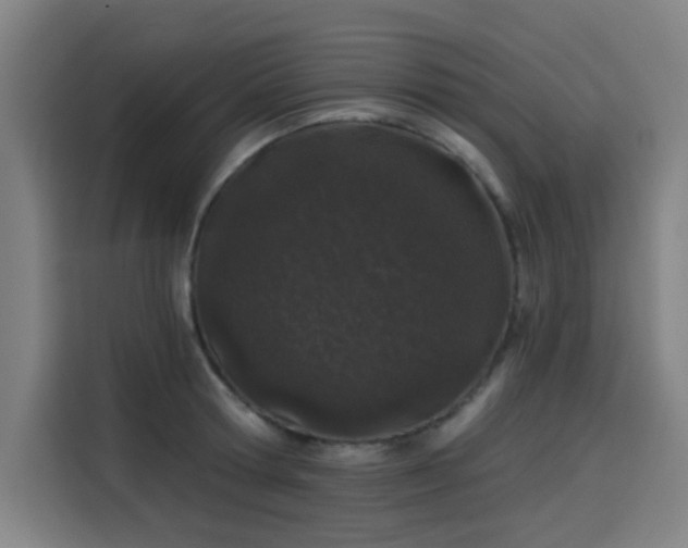 X0000114210802200910161246