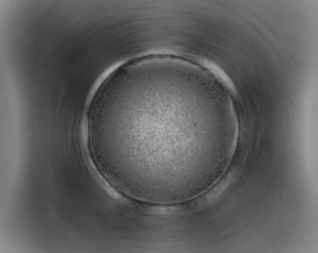 X0000114210804200910161246