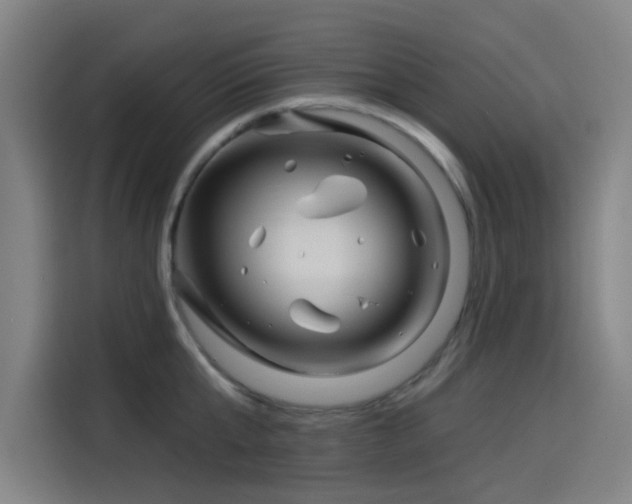 X0000114210807200910161246
