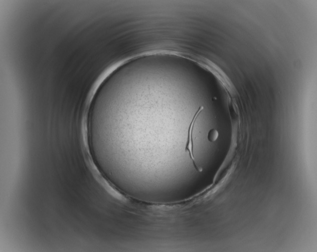 X0000114210812200910161246