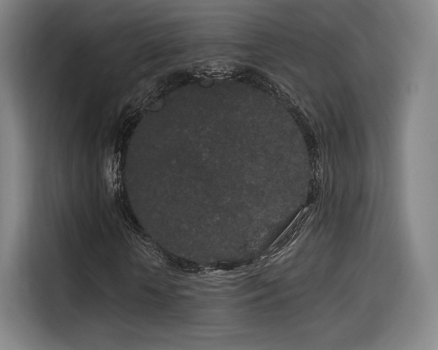 X0000114210818200910161245