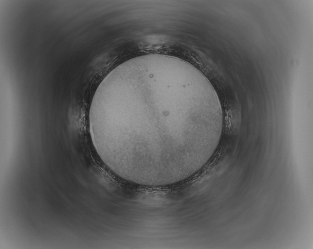 X0000114210820200910161245